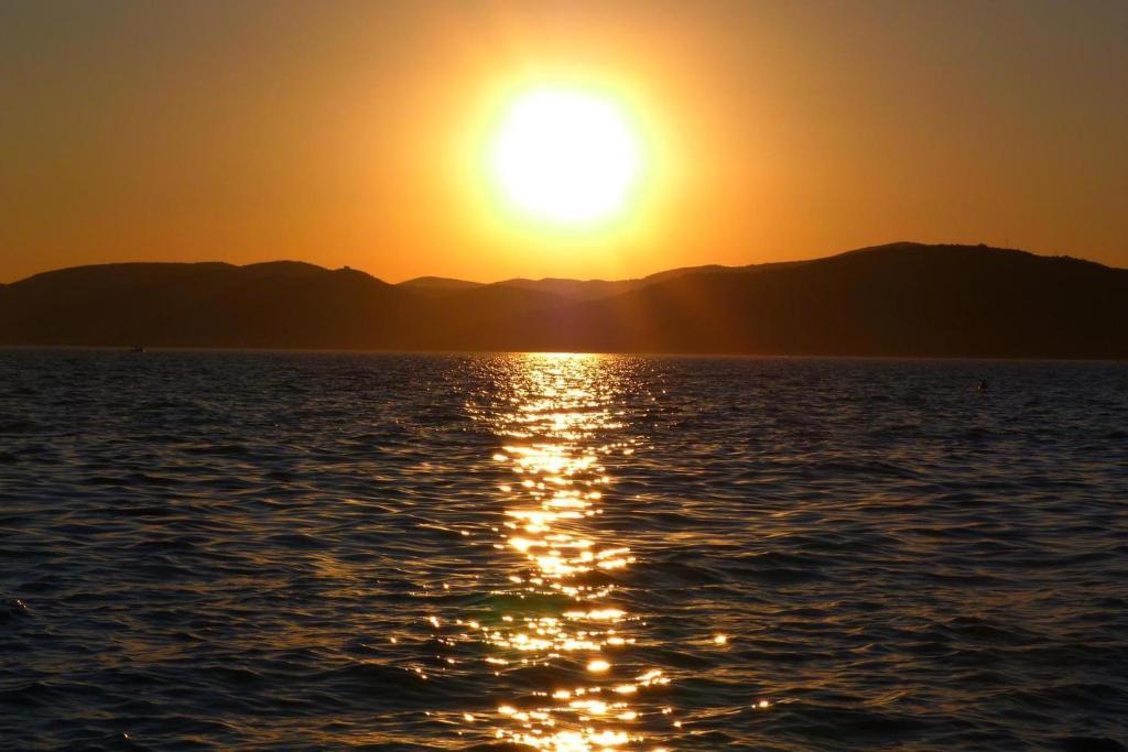 Fani Trogir